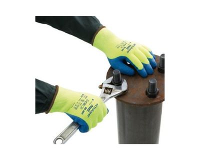 Ansell Guante ActivArmr Resistente al Frío Azul-Amarillo Talla 9