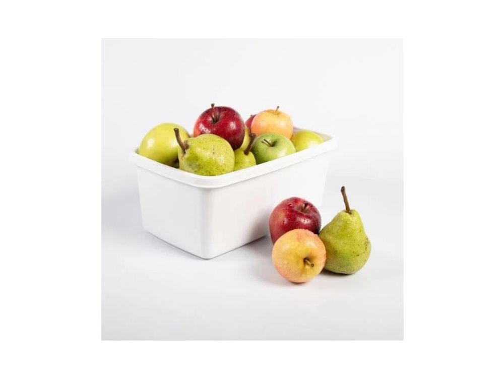 Estra Recipiente Plus para Congelación con Tapa 4 Lt Blanco