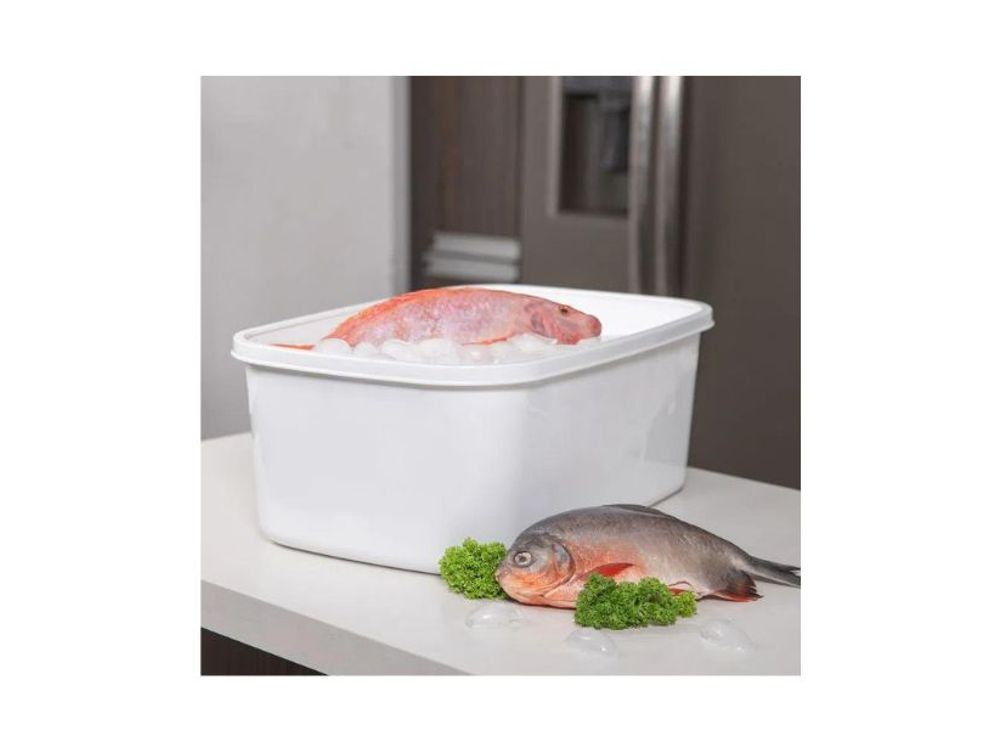 Estra Recipiente Plus para Congelación con Tapa 16 Lt Blanco 4-1043084
