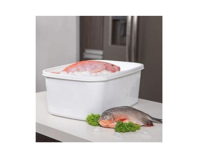 Estra Recipiente Plus para Congelación con Tapa 16 Lt Blanco 4-1043084