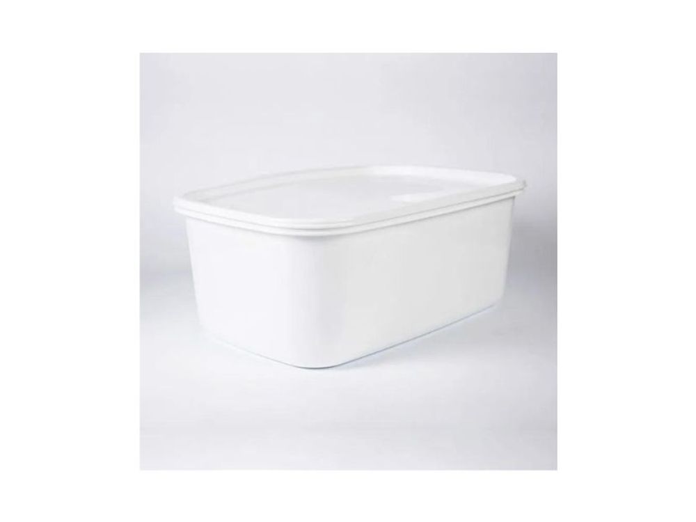 Estra Recipiente Plus para Congelación con Tapa 16 Lt Blanco 4-1043084