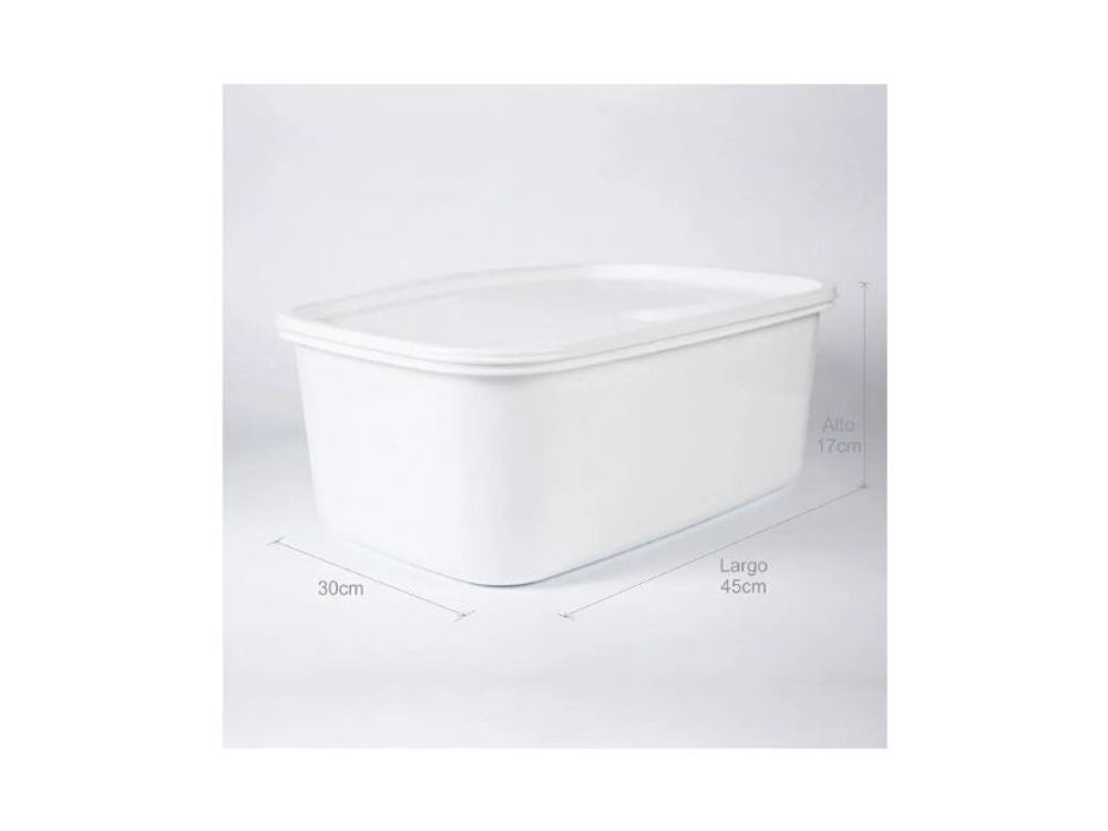 Estra Recipiente Plus para Congelación con Tapa 16 Lt Blanco 4-1043084