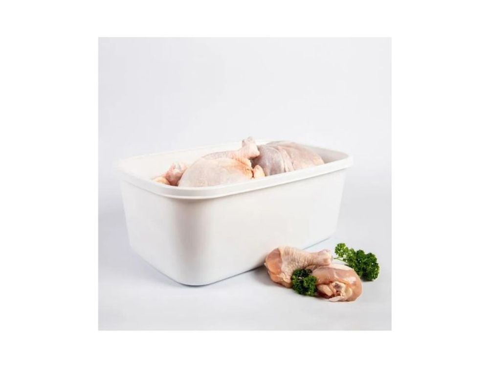 Estra Recipiente Plus para Congelación con Tapa 16 Lt Blanco 4-1043084