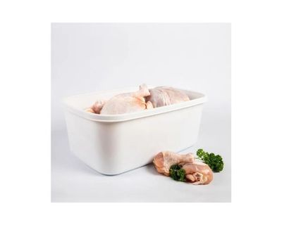 Estra Recipiente Plus para Congelación con Tapa 16 Lt Blanco 4-1043084